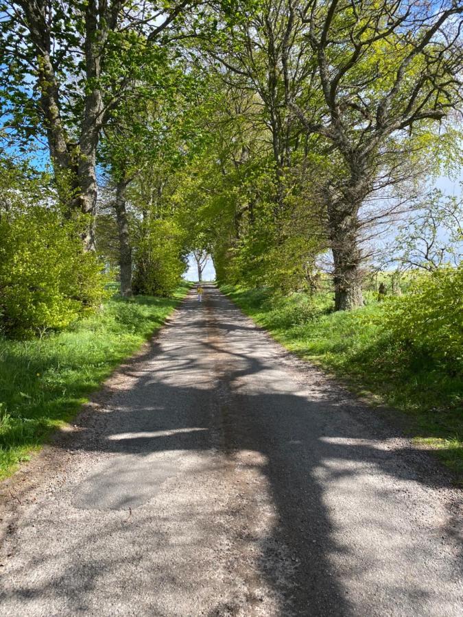 Druid House Lodge Inverness Bagian luar foto